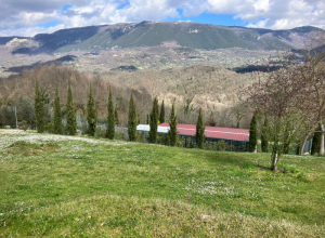 1_PENSIONE-1